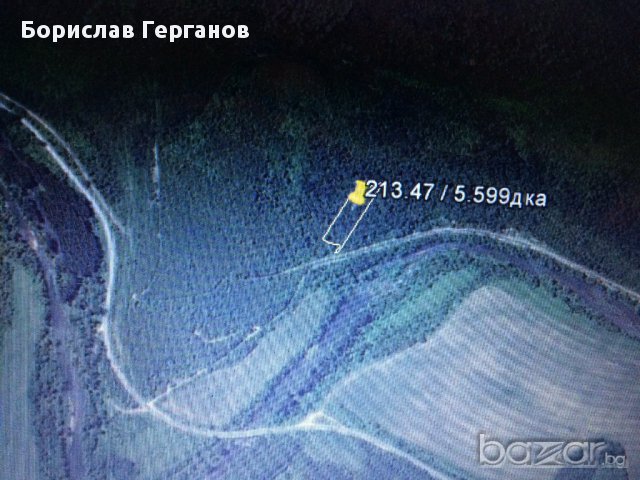 Продавам гора в с. Казачево, снимка 2 - Земеделска земя - 16959434