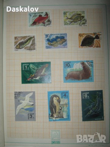 Продавам стари руски пощенски марки с класьор -100бр., снимка 7 - Филателия - 22066054