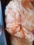 Палто от 100% естествена кожа от лисица, снимка 14