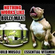 Протеини за кучета Bully Max