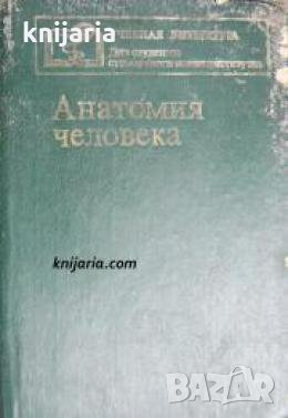 Анатомия человека , снимка 1