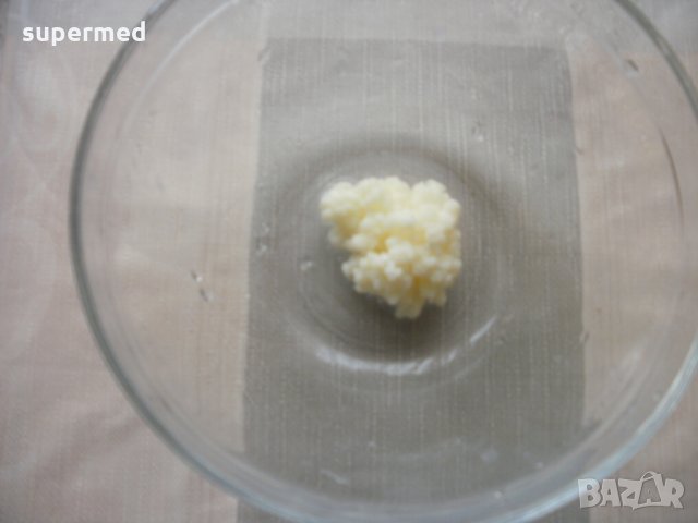 Кефир - Тибетска кефирена гъба за здравословна млечно-кисела напитка, снимка 3 - Домашни напитки - 23825756