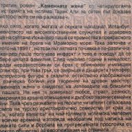 Каменната жена - Тарик Али, снимка 4 - Художествена литература - 16824453