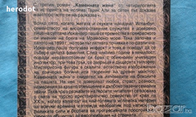 Каменната жена - Тарик Али, снимка 4 - Художествена литература - 16824453