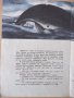 Книга "Приключенията на Таро - Японска приказка" - 16 стр., снимка 4