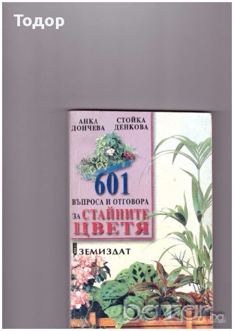 601 въпроса и отговора за стайните цветя  автор: Анка Дончева, Стойка Денкова