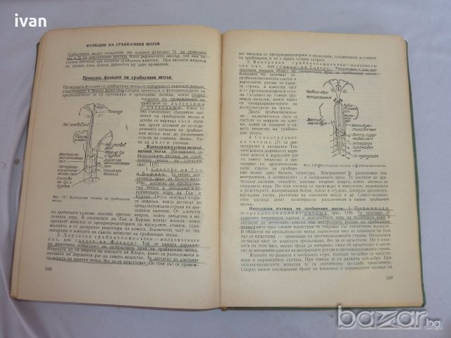  Физиология на селскостопанските животни, снимка 6 - Специализирана литература - 19377023