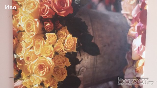 Нощувки в центъра на Пловдив, снимка 16 - Стаи под наем - 19291007