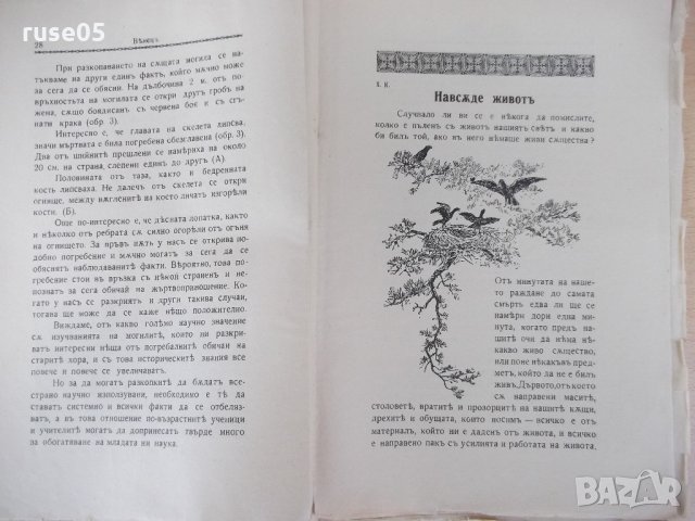 Списание "*Венецъ* - книжка I - октомврий 1934 г." - 64 стр., снимка 5 - Списания и комикси - 21817143