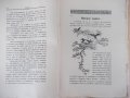 Списание "*Венецъ* - книжка I - октомврий 1934 г." - 64 стр., снимка 5