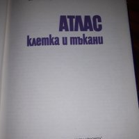 Атлас - клетка и тъкани, снимка 3 - Учебници, учебни тетрадки - 24754270