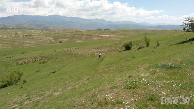 Продавам земя в с. Лешница, община Сандански, снимка 6 - Земеделска земя - 14247705