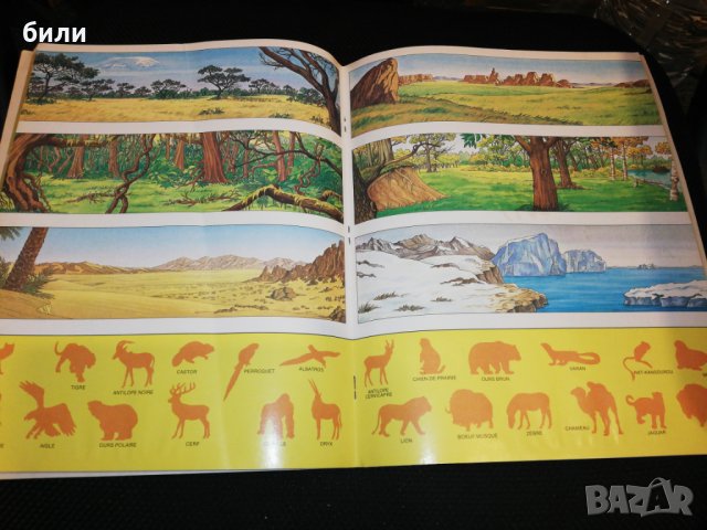 WWF PANINI , снимка 5 - Списания и комикси - 24708508