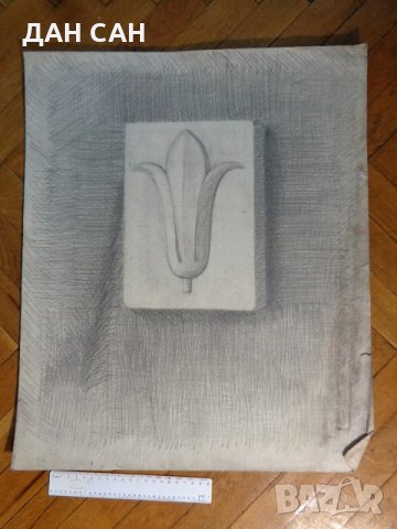 картини рисунки Етюди Натюрморт, снимка 7 - Картини - 20112373