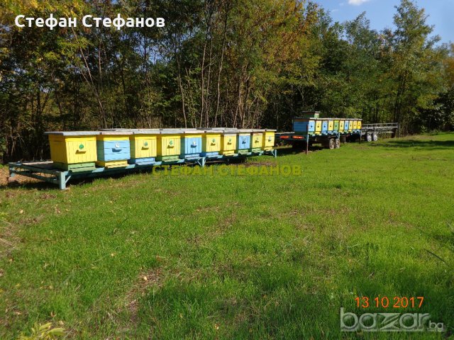Пчеларска платформа с (ДВЕ ЛИЦА) +колесар за пчелни кошери, снимка 5 - Селскостопанска техника - 18384949