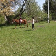 Конна езда Голямо Дряново,Казанлък, снимка 7 - Други спортове - 13686705