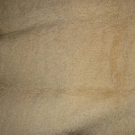 Вълнен китеник холова гарнитура китено халище, снимка 2 - Покривки за легло - 17341394