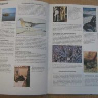 Книга "Атлас на застрашените животни-Стив Полък" - 64 стр., снимка 4 - Учебници, учебни тетрадки - 7988822