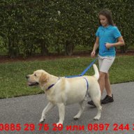 Нагръдник повод за куче Instant trainer, снимка 3 - За кучета - 12979267