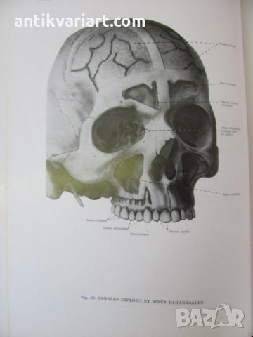 1971г. Медицинска Книга Анатомичен Атлас Том1-ви, снимка 10 - Други - 25936774