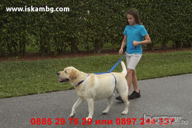 Нагръдник повод за куче Instant trainer, снимка 3 - За кучета - 12979267
