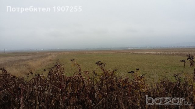 Имот подходящ за складови площи или предприятие, снимка 3 - Парцели - 20908147