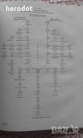 Рим первых царей. Генезис римского полиса - И. Л. Маяк, снимка 7 - Специализирана литература - 22253588