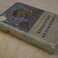 Книга "Кладенецът на лешоядите - Норберт Фрид" - 376 стр., снимка 6 - Художествена литература - 7940074