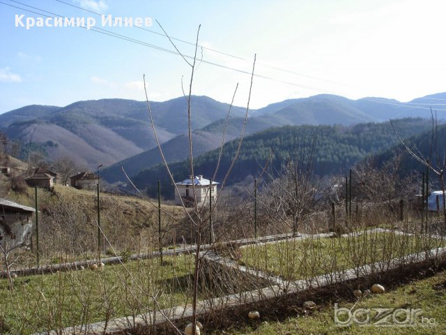 Красота и спокойствие в сърцето на Родопите., снимка 9 - Почивки на планина - 10187220