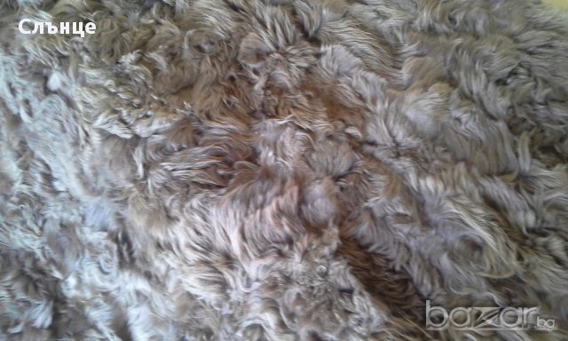 Кожа, снимка 13 - Декорация за дома - 12437637