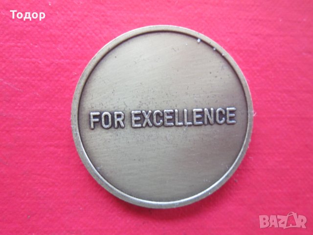 Страхотен Немски военен знак медал значка монета , снимка 3 - Колекции - 25482073