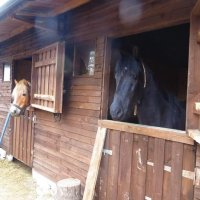 Пансион за коне/Horse boarding house