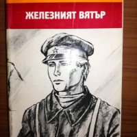 Железният вятър - Виктор Егоров, Лев Парфьонов, снимка 1 - Художествена литература - 25192602
