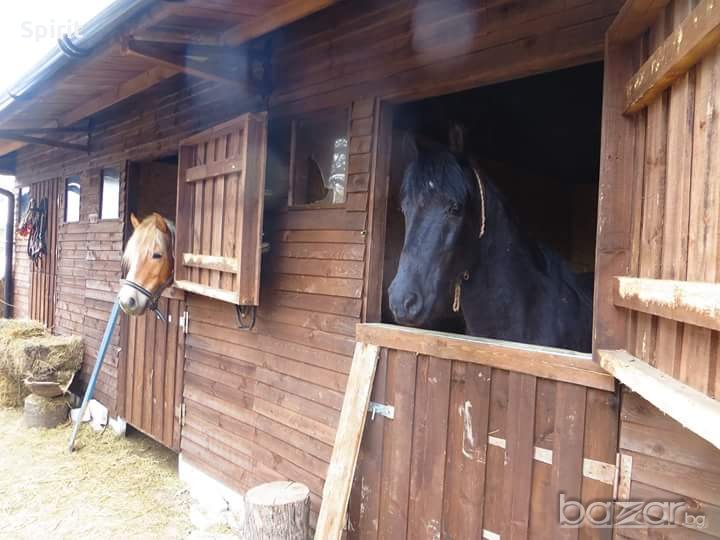 Пансион за коне/Horse boarding house, снимка 1