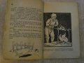 Книга "Дядовото кожухче - Веса Паспалеева" - 96 стр., снимка 5