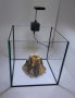Нано аквариуми, снимка 6