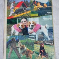 Живея с куче Избор Хранене Възпитание Обучение Сборник, снимка 2 - Специализирана литература - 23447248