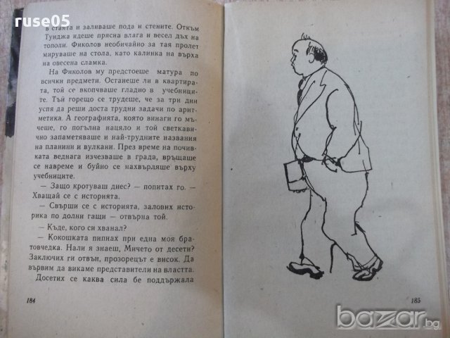 Книга "Южняк - Димитър Вълев" - 220 стр., снимка 5 - Художествена литература - 17849044