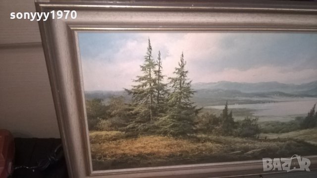 красива голяма картина-внос швеицария, снимка 5 - Колекции - 25522852