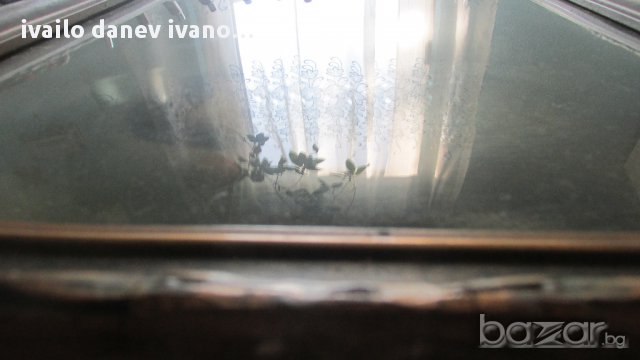 антикварни снимки и рамки, снимка 2 - Антикварни и старинни предмети - 11440228