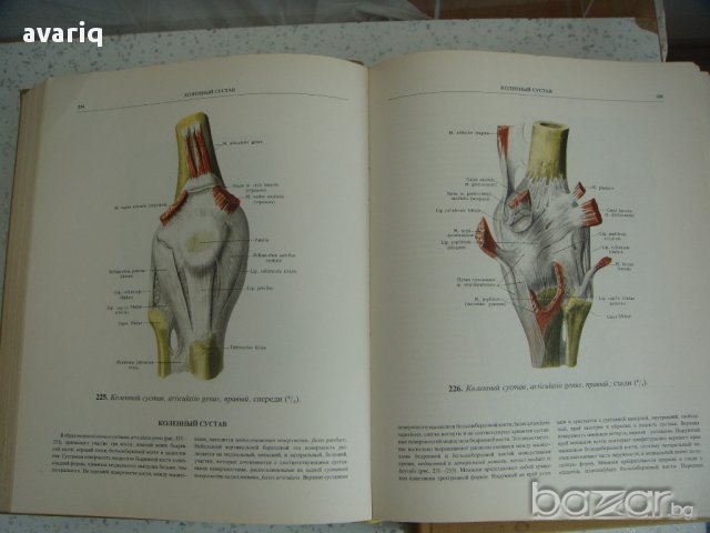 Атласи по анатомия на човека Синелников, снимка 9 - Енциклопедии, справочници - 16689471