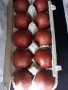 Кокошки и яйца за люпене от маран черно сребро, снимка 7
