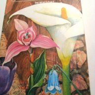 Дъга от цветя, снимка 2 - Специализирана литература - 18492514