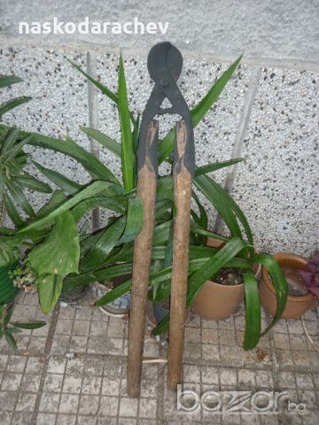 Автентична стара овощарска ножица за клони, снимка 4 - Антикварни и старинни предмети - 19505370