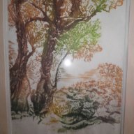 Подписана картина"Стари дървета"-суха игла-1985година, снимка 6 - Други ценни предмети - 16531745