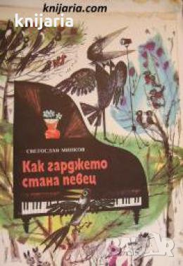 Как гарджето стана певец , снимка 1