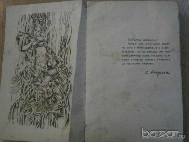 Книга "Носач на вода - Илзе Индране" - 352 стр., снимка 2 - Художествена литература - 8043051