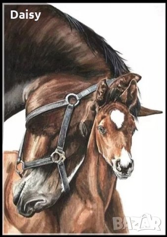 Диамантен гоблен"Кон с малкото си", снимка 1