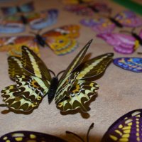 3D пеперуди за декорация с двойни крила СВЕТЕЩИ, снимка 12 - Декорация за дома - 25424987