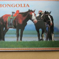  Голям автентичен магнит от Монголия-серия-1, снимка 3 - Други ценни предмети - 26058008
